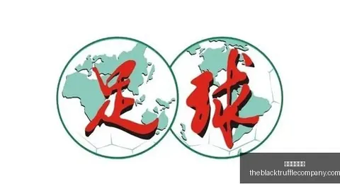 法国队致敬德尚计划，外围投注网站官网，暂无，2026年3月或有惊喜活动